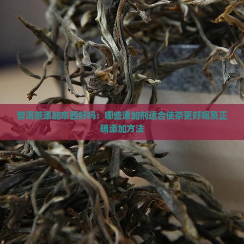 普洱茶添加东西好吗：哪些添加剂适合使茶更好喝及正确添加方法