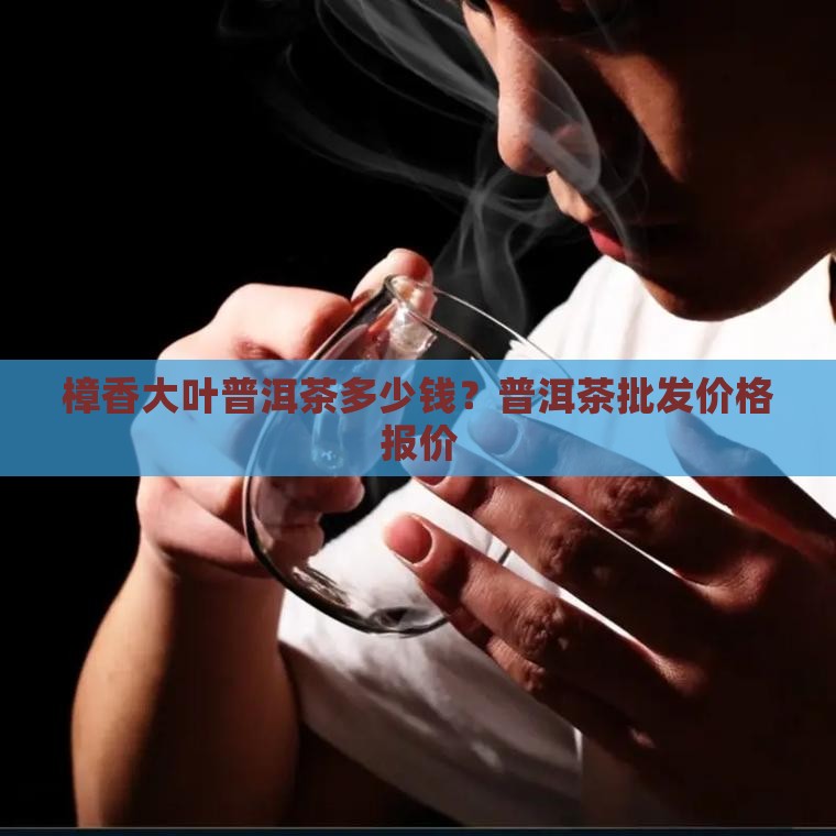 樟香大叶普洱茶多少钱？普洱茶批发价格报价