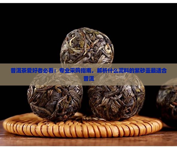 普洱茶爱好者必看：专业采购指南，解析什么泥料的紫砂壶最适合普洱