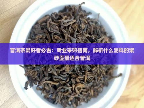普洱茶爱好者必看：专业采购指南，解析什么泥料的紫砂壶最适合普洱