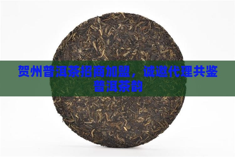 贺州普洱茶招商加盟，诚邀代理共鉴普洱茶韵