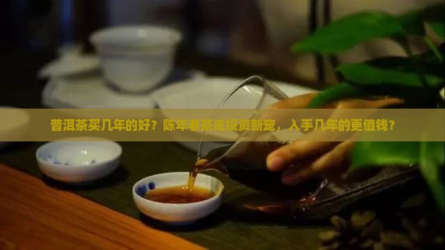 普洱茶买几年的好？陈年老茶成投资新宠，入手几年的更值钱？