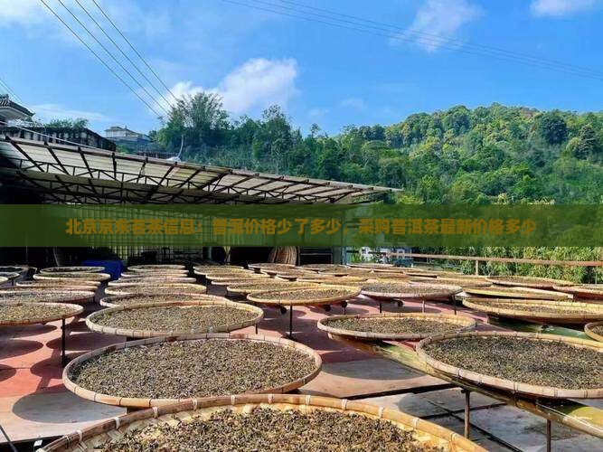 北京京东茗茶信息：普洱价格少了多少，采购普洱茶最新价格多少