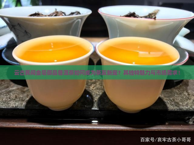 云古民间金毫御品普洱茶如何成为茶友新宠？其独特魅力与市场需求！