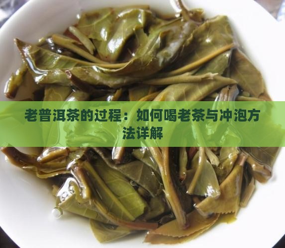 老普洱茶的过程：如何喝老茶与冲泡方法详解