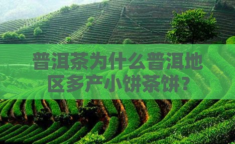 普洱茶为什么普洱地区多产小饼茶饼？