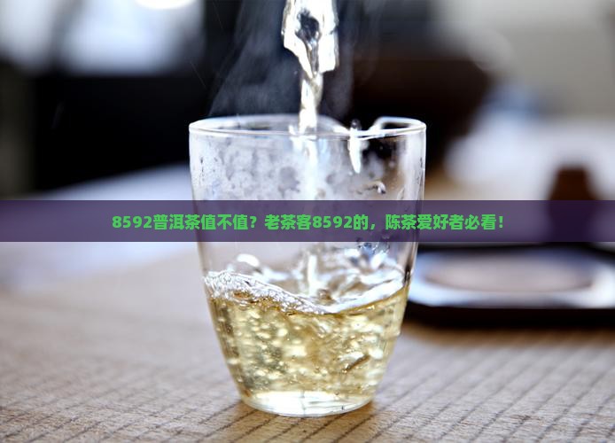 8592普洱茶值不值？老茶客8592的，陈茶爱好者必看！