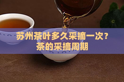 苏州茶叶多久采摘一次？茶的采摘周期