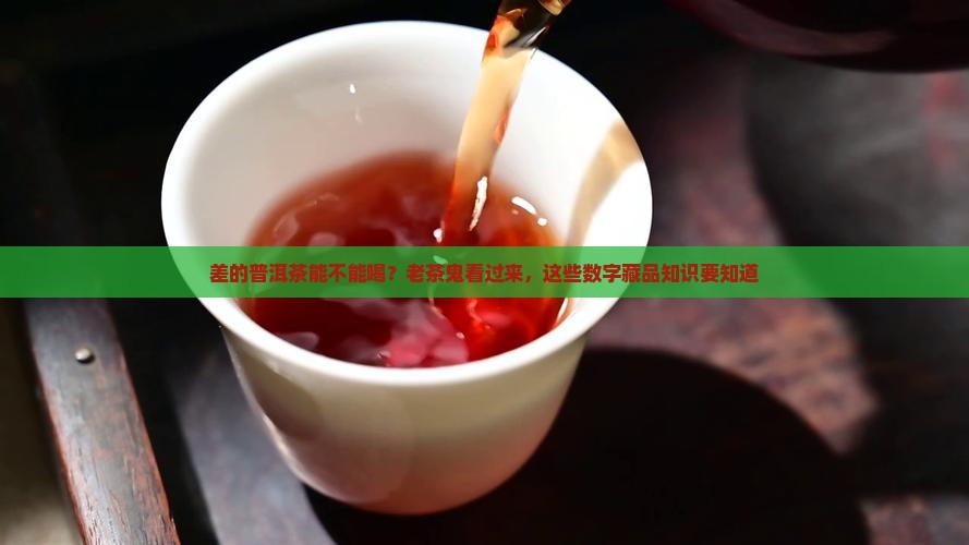 差的普洱茶能不能喝？老茶鬼看过来，这些数字藏品知识要知道