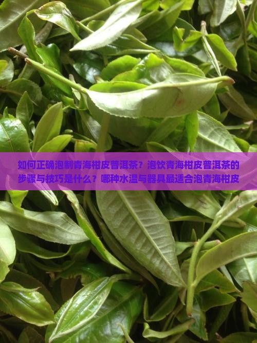 如何正确泡制青海柑皮普洱茶？泡饮青海柑皮普洱茶的步骤与技巧是什么？哪种水温与器具最适合泡青海柑皮普洱茶？