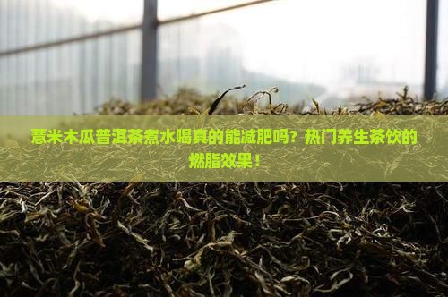 薏米木瓜普洱茶煮水喝真的能减肥吗？热门养生茶饮的燃脂效果！
