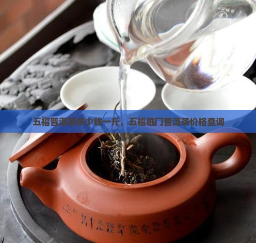 五福普洱茶多少钱一斤，五福临门普洱茶价格查询