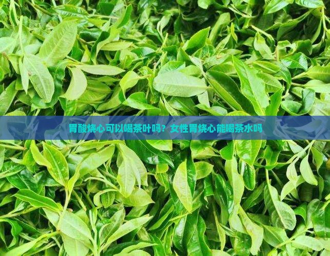 胃酸烧心可以喝茶叶吗？女性胃烧心能喝茶水吗