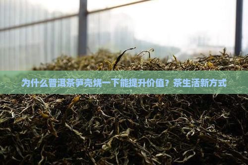 为什么普洱茶笋壳烧一下能提升价值？茶生活新方式