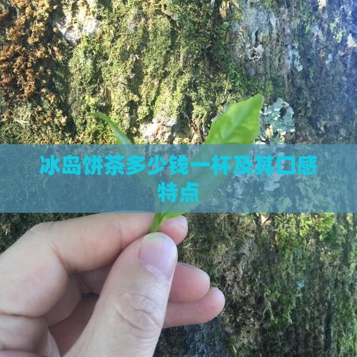 冰岛饼茶多少钱一杯及其口感特点