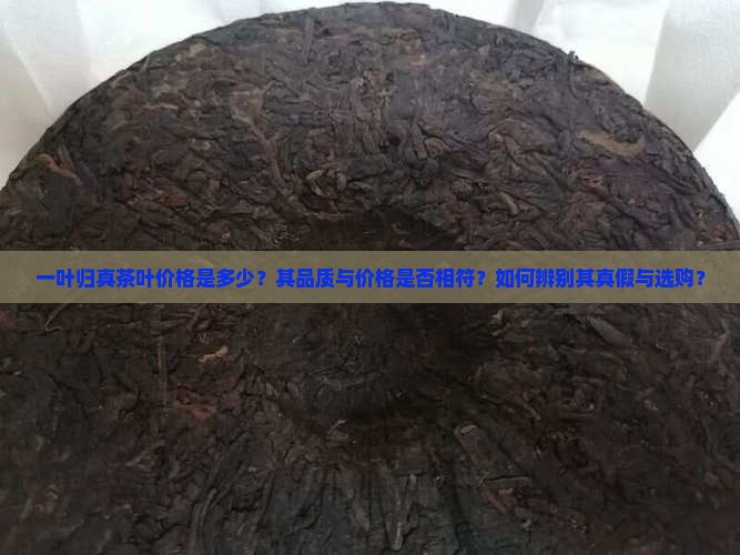 一叶归真茶叶价格是多少？其品质与价格是否相符？如何辨别其真假与选购？