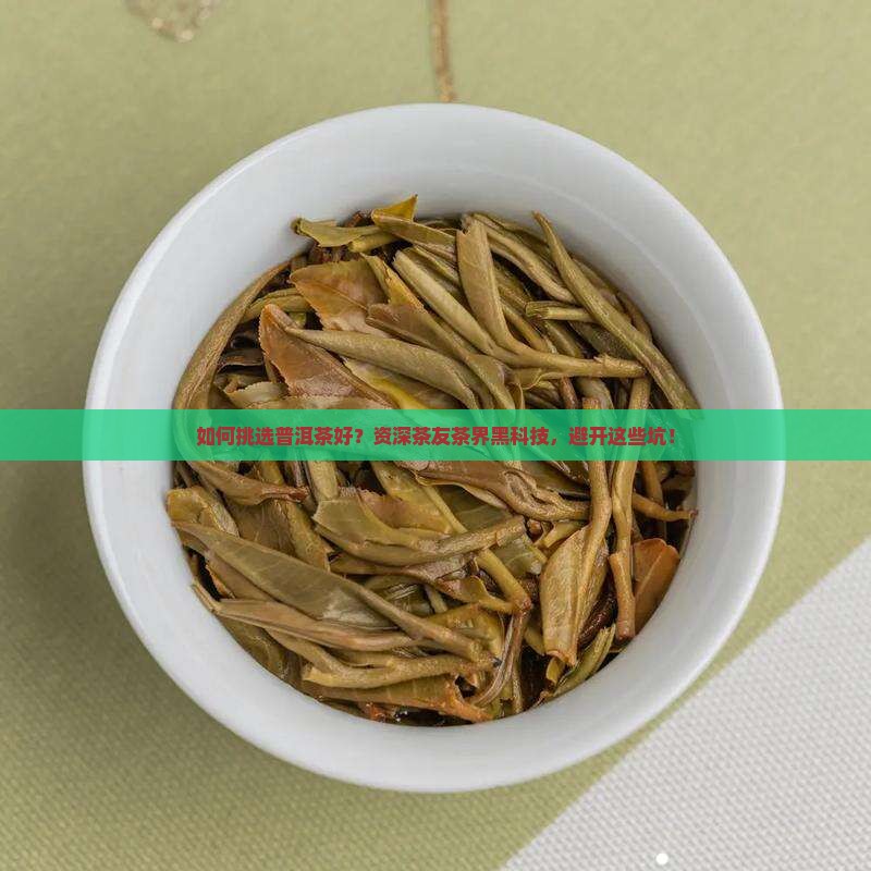 如何挑选普洱茶好？资深茶友茶界黑科技，避开这些坑！