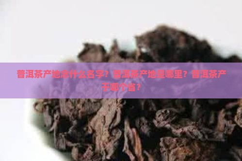 普洱茶产地念什么名字？普洱茶产地是哪里？普洱茶产于哪个省？