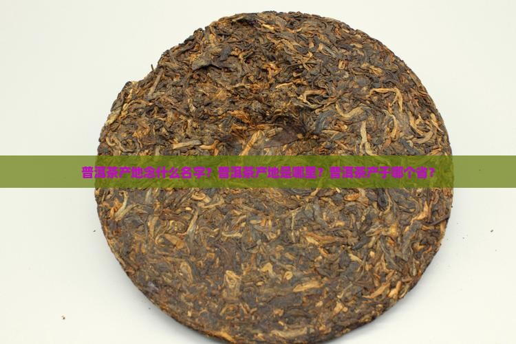 普洱茶产地念什么名字？普洱茶产地是哪里？普洱茶产于哪个省？