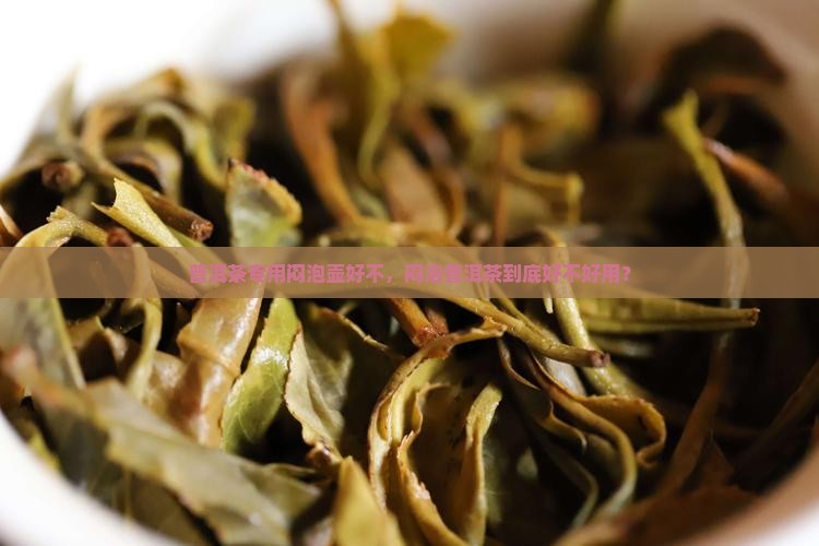 普洱茶专用闷泡壶好不，闷泡普洱茶到底好不好用？