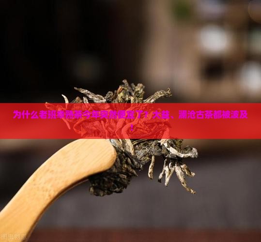 为什么老班章熟茶今年突然便宜了？大益、澜沧古茶都被波及！