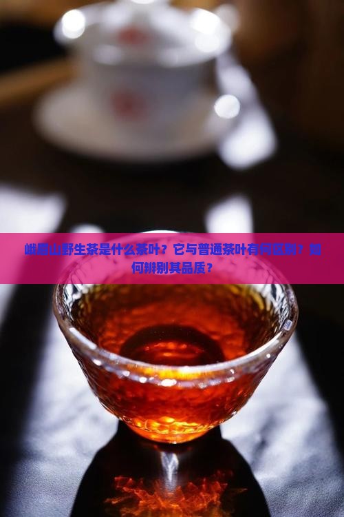 峨眉山野生茶是什么茶叶？它与普通茶叶有何区别？如何辨别其品质？
