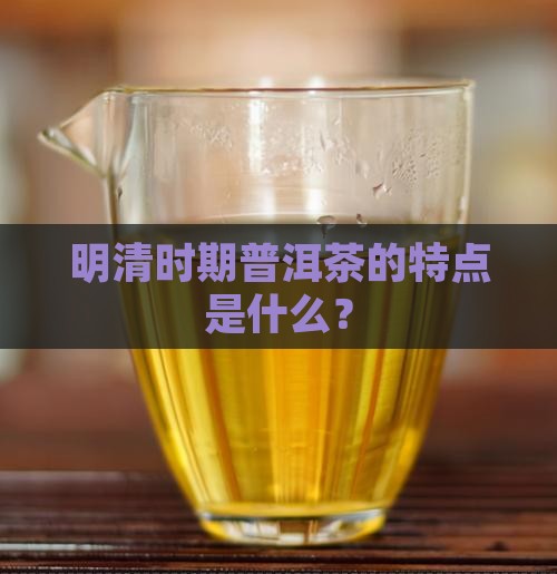 明清时期普洱茶的特点是什么？