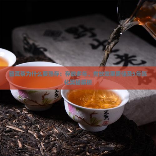 普洱茶为什么要熟存:存放多年、煮饮效果更佳及5年陈化奥秘解析 普洱茶为什么要熟存:存放多年、煮饮效果更佳及5年陈化奥秘解析
