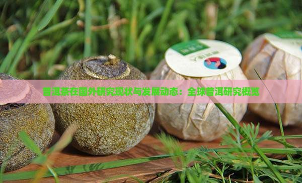 普洱茶在国外研究现状与发展动态：全球普洱研究概览