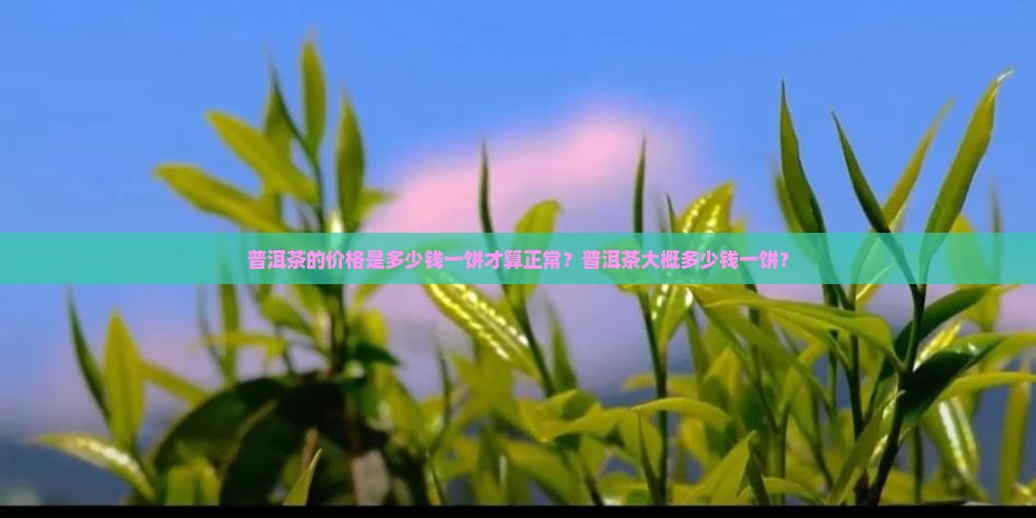 普洱茶的价格是多少钱一饼才算正常？普洱茶大概多少钱一饼？