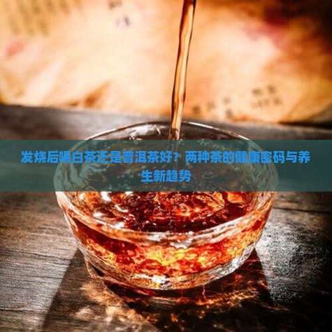 发烧后喝白茶还是普洱茶好？两种茶的健康密码与养生新趋势