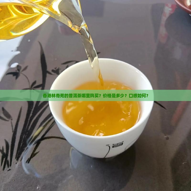 香港林奇苑的普洱茶哪里购买？价格是多少？口感如何？