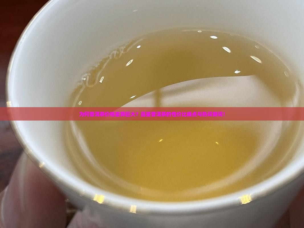 为何普洱茶价格差异巨大？品鉴普洱茶的性价比痛点与热词新词！