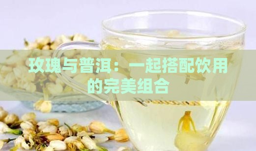 玫瑰与普洱：一起搭配饮用的完美组合
