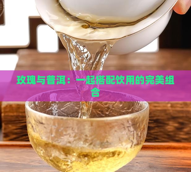 玫瑰与普洱：一起搭配饮用的完美组合