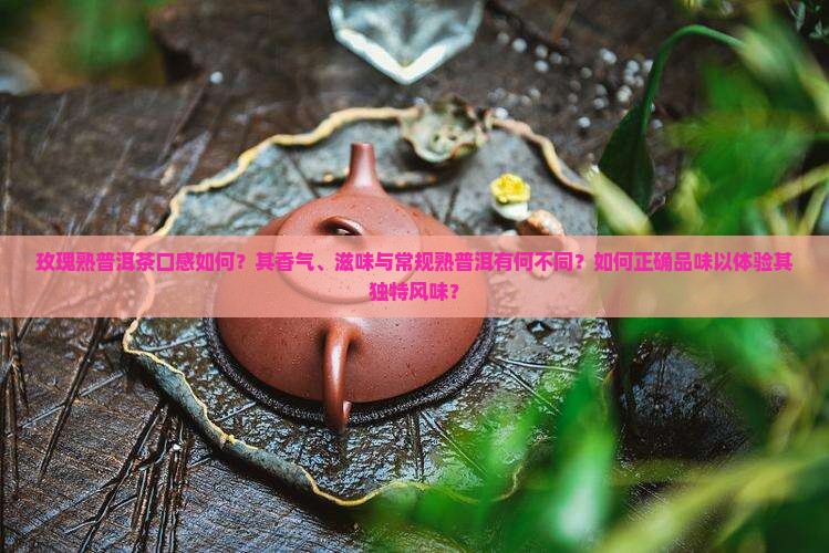玫瑰熟普洱茶口感如何？其香气、滋味与常规熟普洱有何不同？如何正确品味以体验其独特风味？