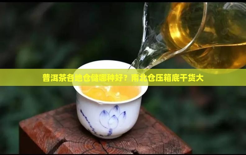 普洱茶各地仓储哪种好？南北仓压箱底干货大