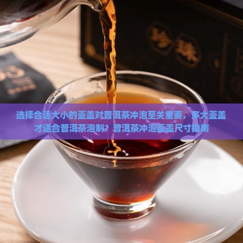 选择合适大小的壶盖对普洱茶冲泡至关重要，多大壶盖才适合普洱茶泡制？普洱茶冲泡壶盖尺寸指南