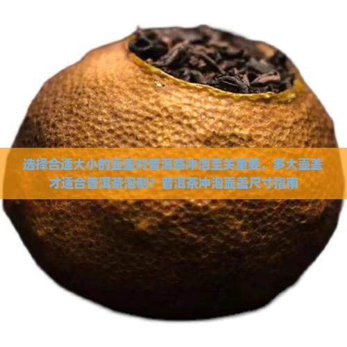 选择合适大小的壶盖对普洱茶冲泡至关重要，多大壶盖才适合普洱茶泡制？普洱茶冲泡壶盖尺寸指南