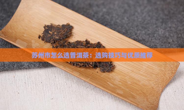 苏州市怎么选普洱茶：选购技巧与优质推荐