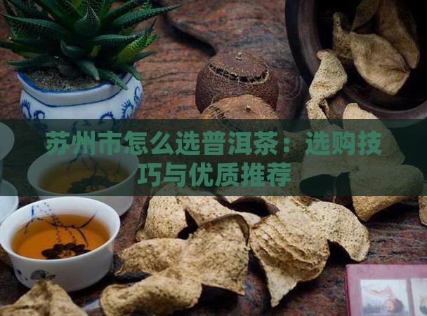 苏州市怎么选普洱茶：选购技巧与优质推荐