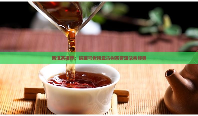 普洱茶推荐：瑞荣号老班章古树茶普洱浓香经典