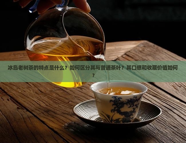 冰岛老树茶的特点是什么？如何区分其与普通茶叶？其口感和收藏价值如何？