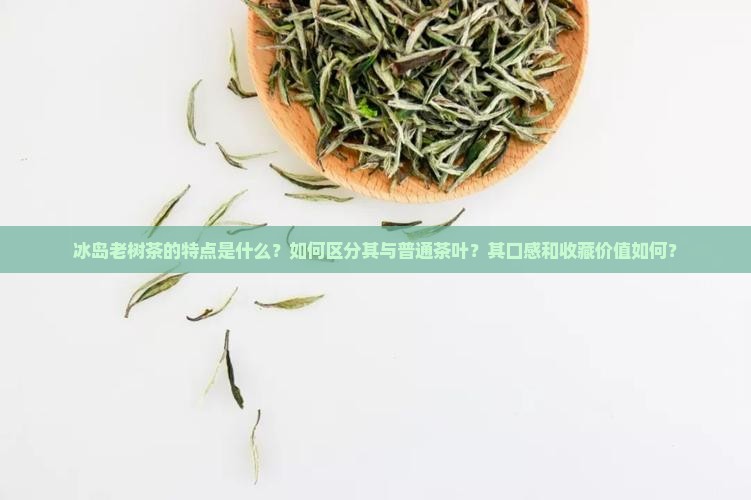 冰岛老树茶的特点是什么？如何区分其与普通茶叶？其口感和收藏价值如何？