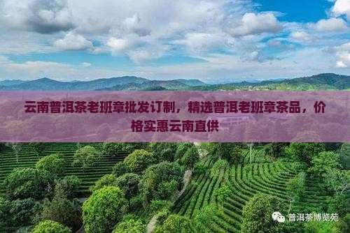 云南普洱茶老班章批发订制，精选普洱老班章茶品，价格实惠云南直供
