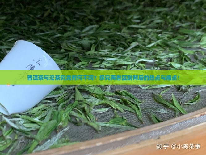 普洱茶与沱茶究竟有何不同？探究两者区别背后的热点与痛点！