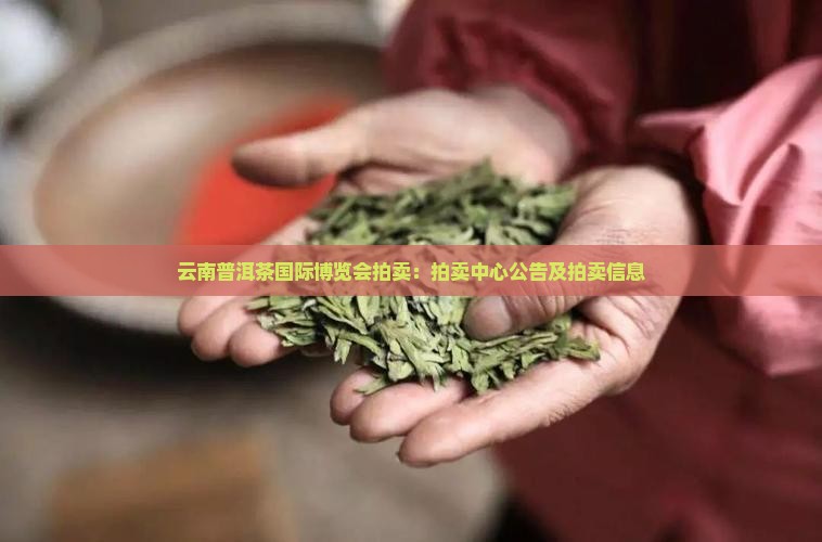 云南普洱茶国际博览会拍卖：拍卖中心公告及拍卖信息