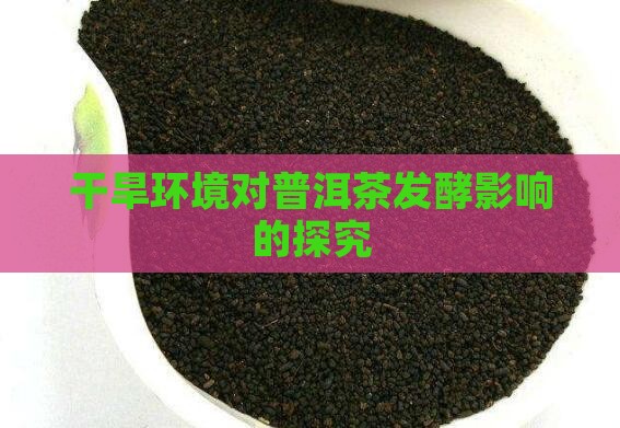 干旱环境对普洱茶发酵影响的探究