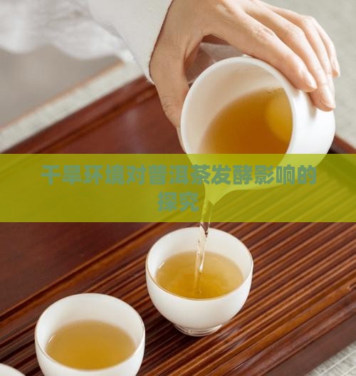 干旱环境对普洱茶发酵影响的探究