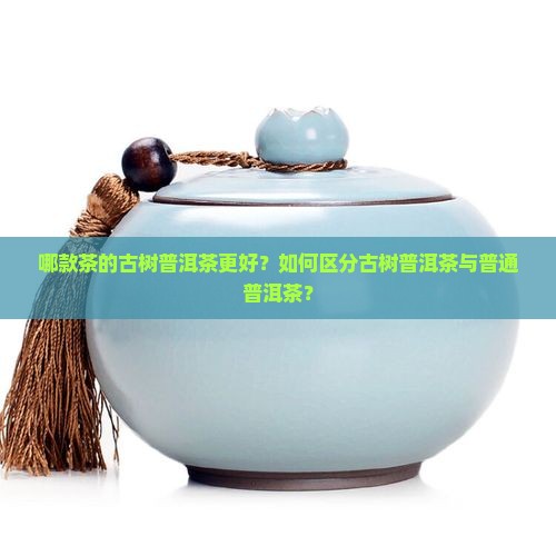 哪款茶的古树普洱茶更好？如何区分古树普洱茶与普通普洱茶？